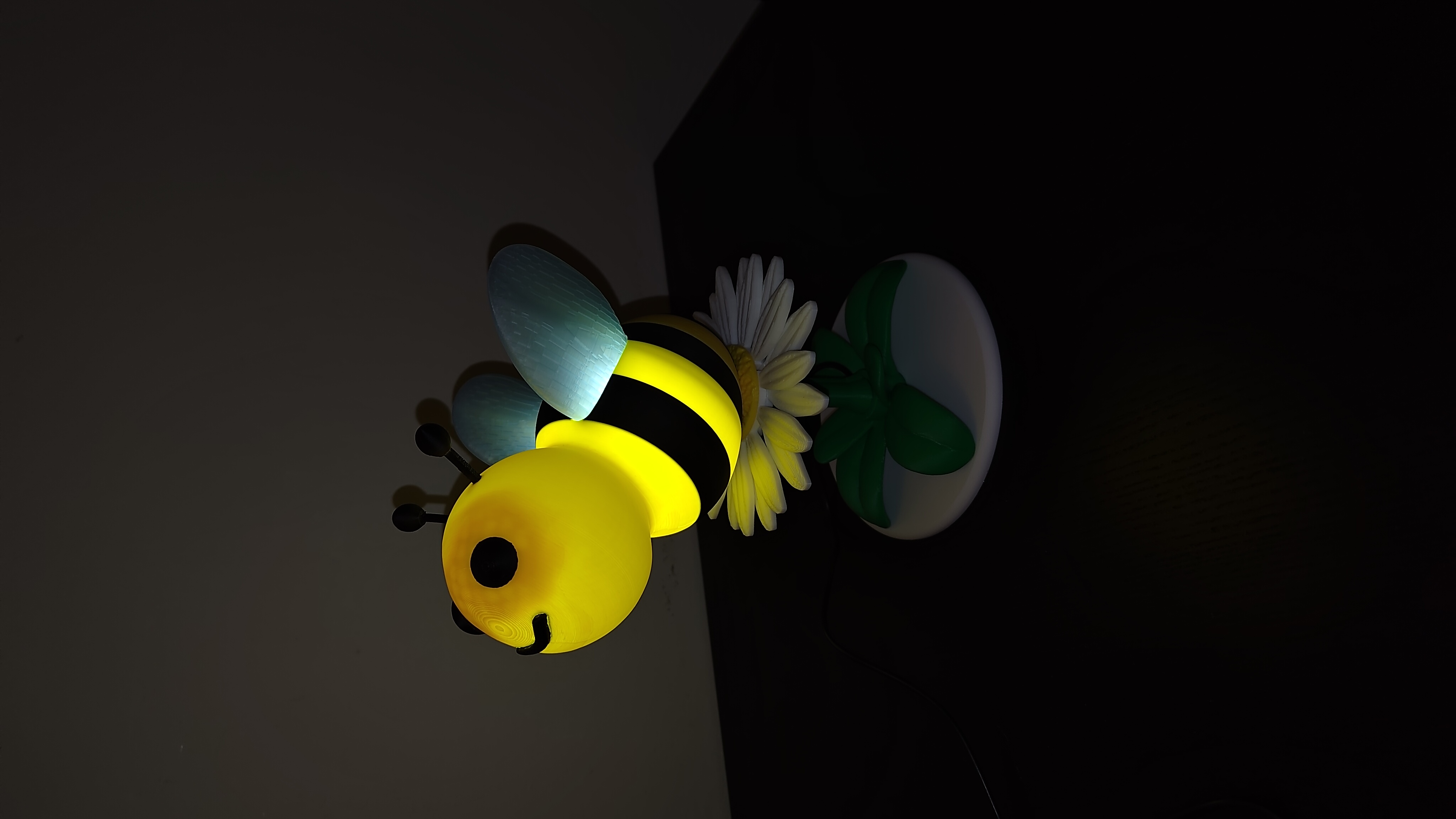 Bee desk lamp & chain lamp